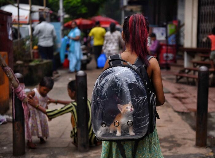 Young woman walking on Mumbai street with a transparent backpack carrying a kitten, showcasing everyday life in Mumbai.
