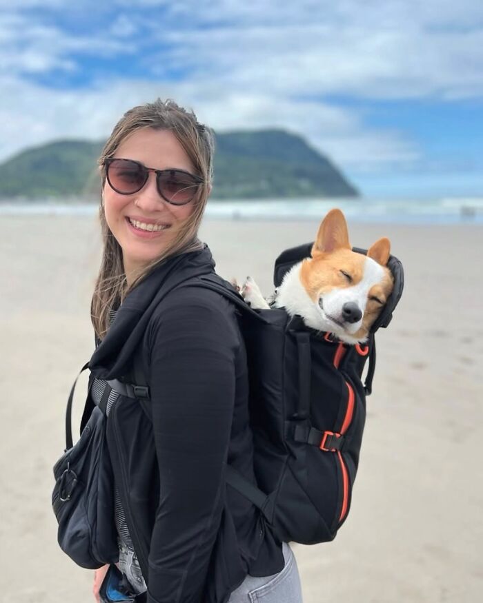 Woman smiling on beach with a dog in backpack, showcasing adorable dogs in backpacks enjoying city adventures.