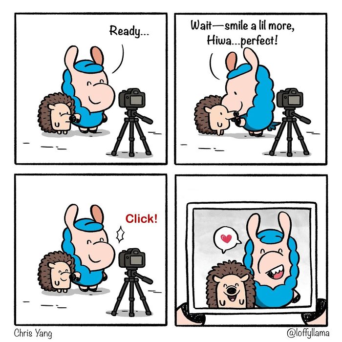 Cartoon of a llama and hedgehog friendship taking a photo together with a camera on a tripod, showing warmth and joy.