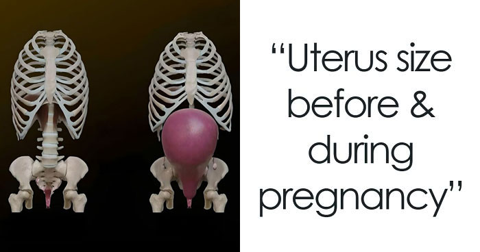 50 Interesting, Cool, And Disturbing Facts About The Mind And Body, As Shared By This FB Page