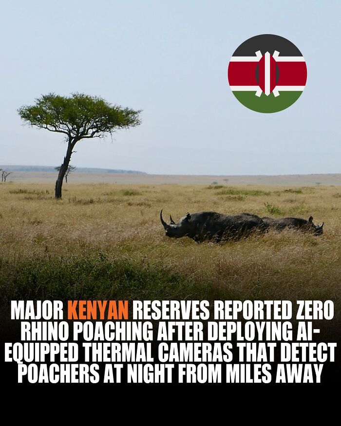 Rhino in Kenyan reserve with AI thermal cameras deployed to stop poaching, sharing new knowledge and world facts.