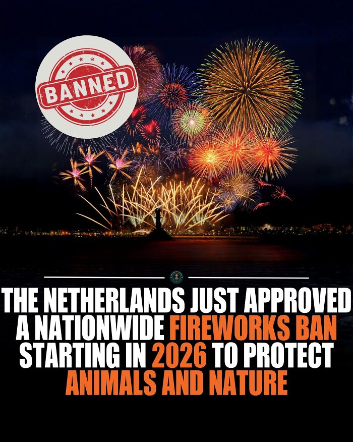 Fireworks display over water with a banned stamp, highlighting a 2026 nationwide fireworks ban in the Netherlands.