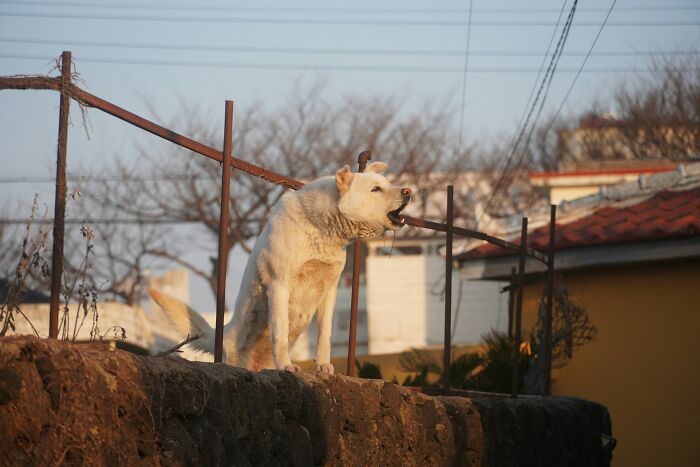 48 “Something’s Off” Moments That Turned Out To Be Completely Right