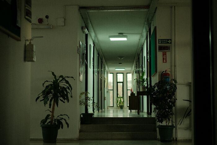 Dimly lit hallway with potted plants along walls, symbolizing habits affecting long-term mental and physical health.