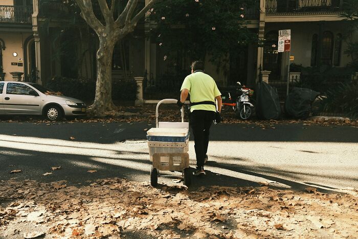 Postal worker pushing a cart along a leafy street, illustrating daily realities of being a postal worker.