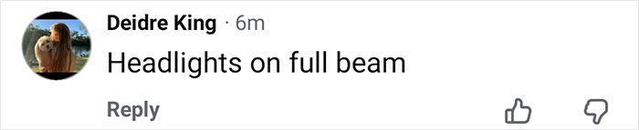 Comment by Deidre King saying headlights on full beam on a social media post sparking dress detail frenzy. Comment by Deidre King saying headlights on full beam on a social media post sparking dress detail frenzy.