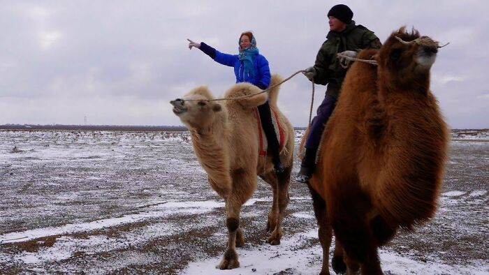 Two people riding camels in a snowy flat landscape, a rare real place that looks AI generated and surreal.