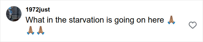 User comment expressing concern about La Toya Jackson's alarmingly slim appearance amid possible health issues.