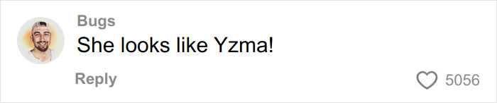 Comment by user Bugs expressing that someone looks like Yzma, with a profile picture of a smiling man wearing a beanie.