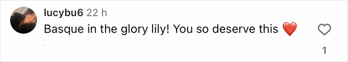 Comment on social media post praising Lily Allen during her continual divorce celebration and revenge era.