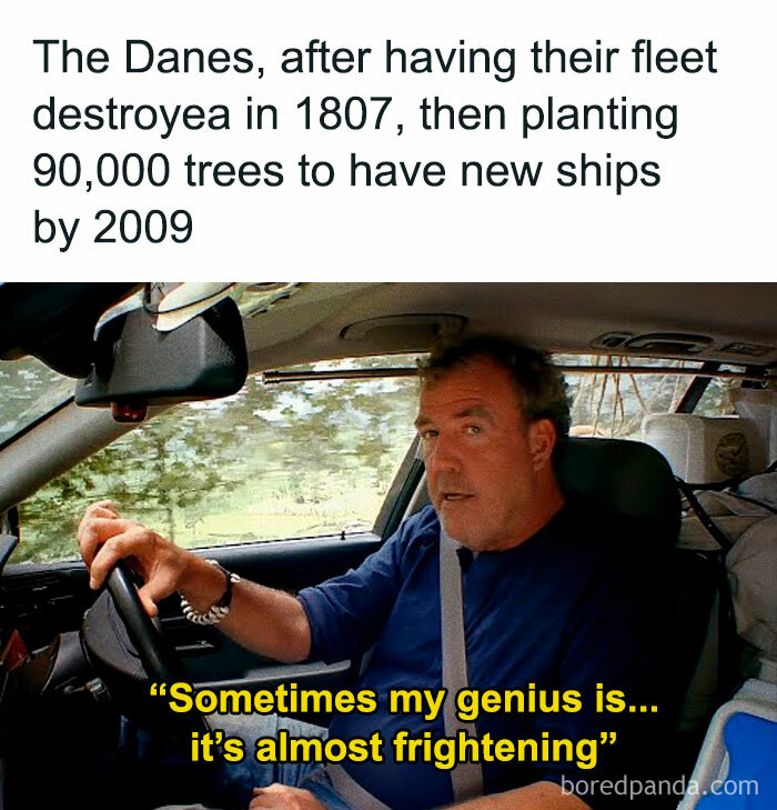 Man driving a car with a caption about Danes planting trees after losing their fleet, funny history memes theme.