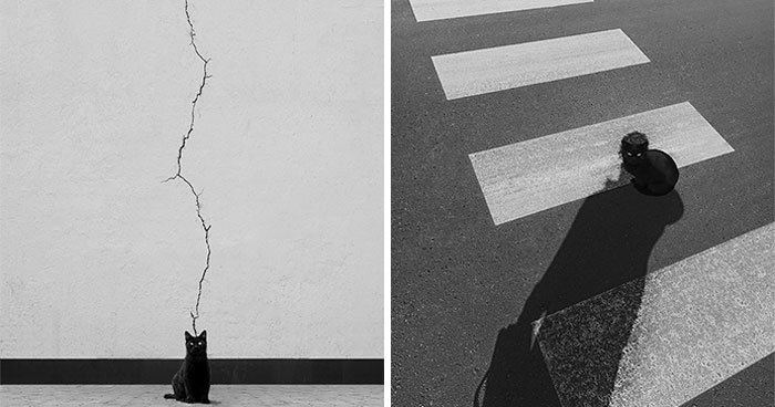 The Artist Captures Silence And Simplicity In Empty Spaces (49 Pics)