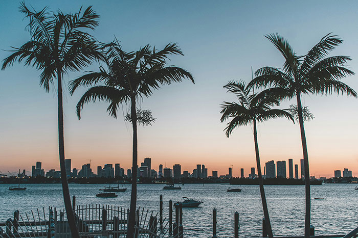 Palm trees at sunset by the waterfront with boats and a city skyline, representing people from different countries denying myths.