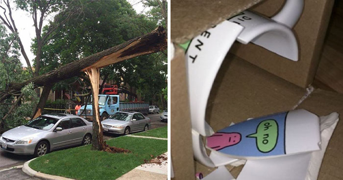 52 Photos That Show Things That Weren’t Supposed To Happen, According To The Odds (New Pics)