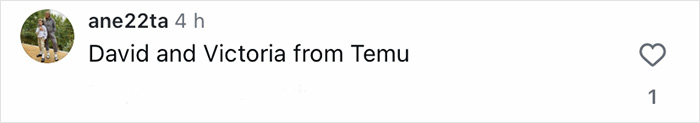 Comment mentioning David and Victoria from Temu on social media, related to fans discussing Brooklyn&rsquo;s wife Nicola Peltz.