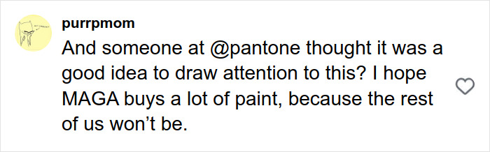 User comment on Pantone&rsquo;s color choice sparking controversy and online backlash over alleged racism.