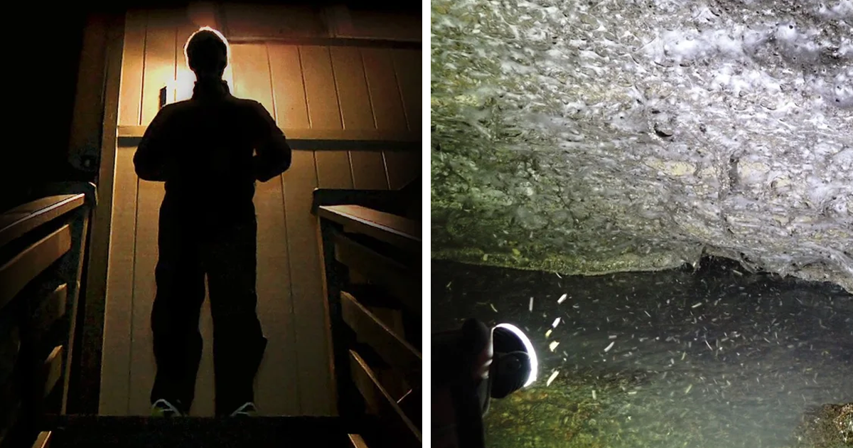 55 People Share Their Scariest Moments That Left Them Traumatized | Bored Panda 