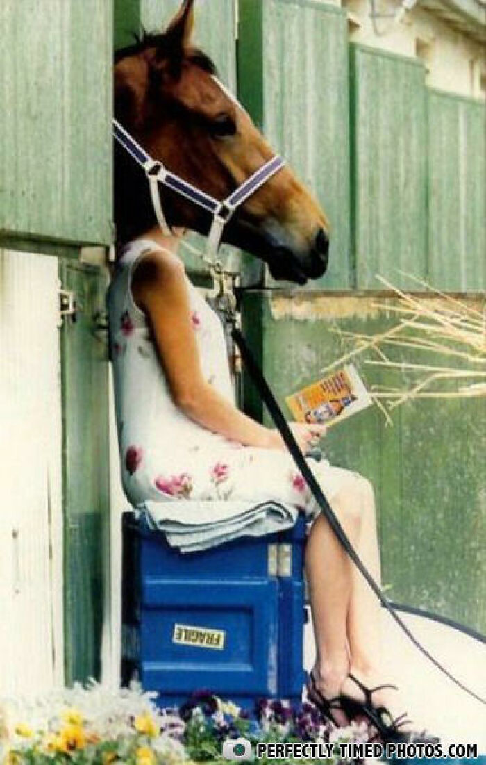 Woman seated reading a book, seemingly with a horse head, showcasing a perfectly timed photo moment.