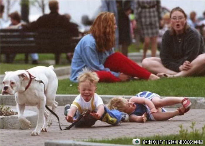 Two children falling while being pulled by a dog, captured in a perfectly timed photo showing a messy outdoor moment.
