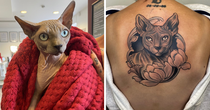 We Tattooed People’s Most Beloved Pets, Turning Their Stories Into Permanent Tributes (22 Pics)