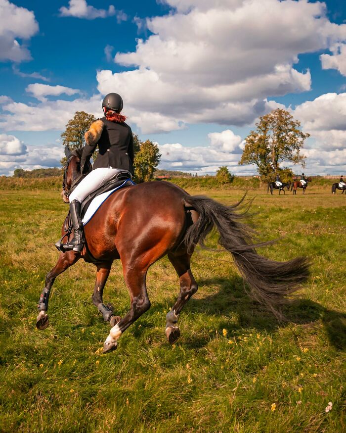 Person riding a horse in a grassy field under a partly cloudy sky, representing entitlement in outdoor activities.
