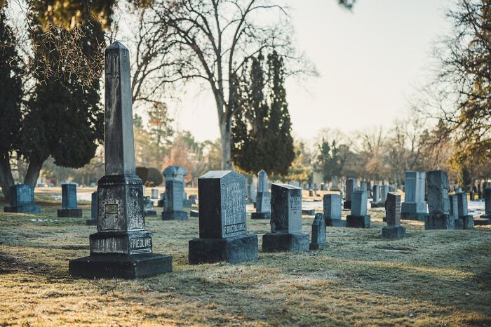 Graveyard with tall and small headstones under bare trees, illustrating life facts that might make you do a double take.