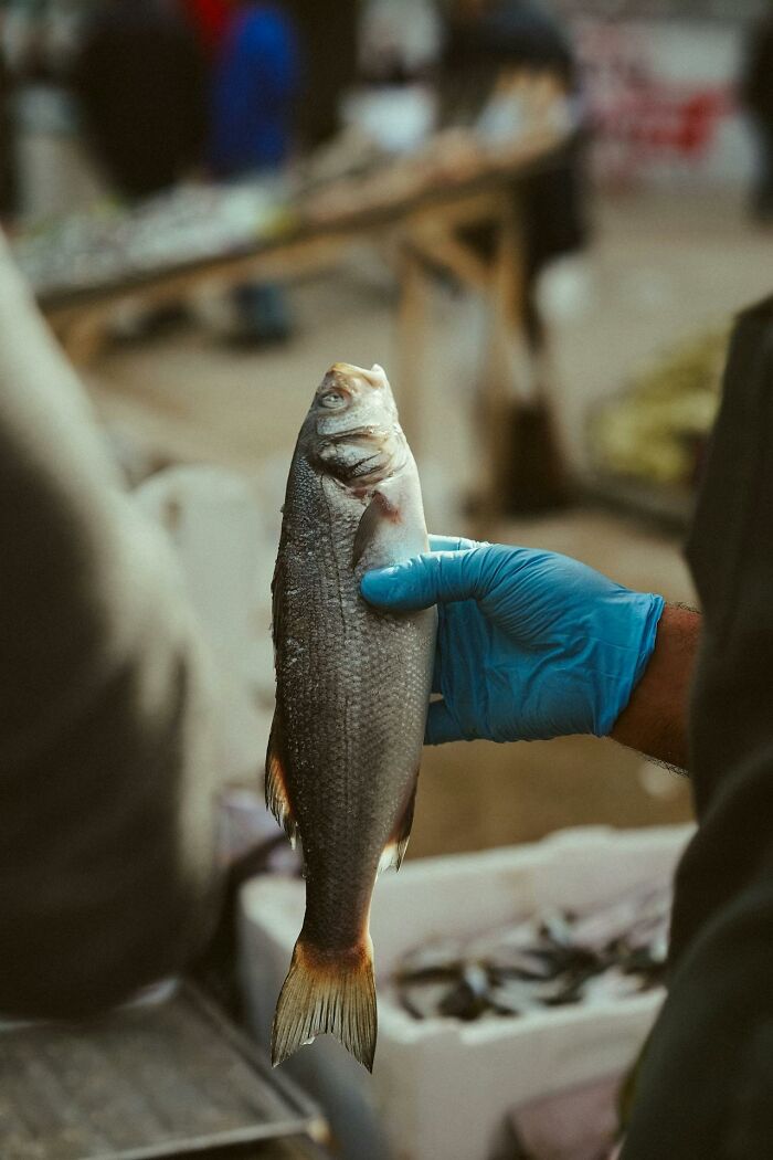 Person wearing a blue glove holding a fish at a market, illustrating a brilliantly sneaky act of revenge concept.