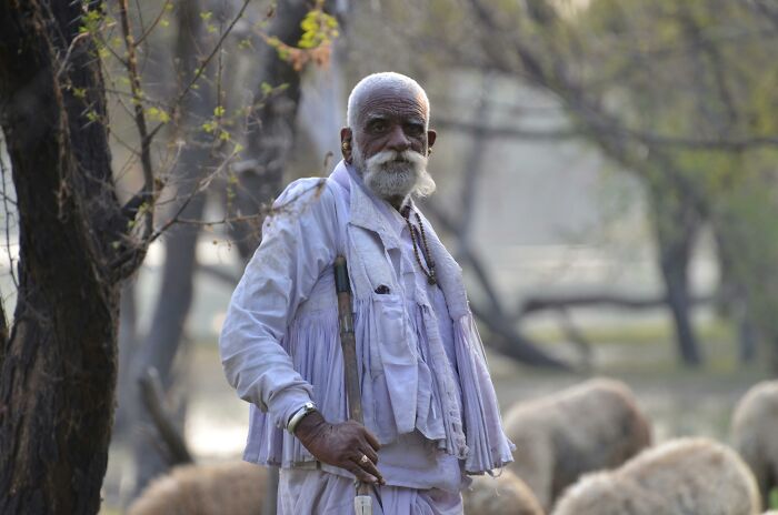 Elderly man in traditional clothing standing outdoors among sheep, evoking themes of unresolved mysteries and reflection.