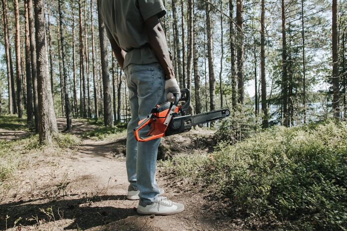 Person holding a chainsaw standing in a forest clearing among tall trees, evoking disturbing truths atmosphere.