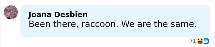 Social media comment reacting humorously to a raccoon raid at a liquor store and its passed out bathroom scene.