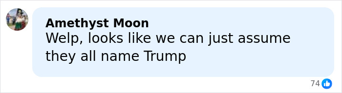Comment on social media screen showing a user named Amethyst Moon joking about all names being Trump, related to Toddler's Foot photo discussion.