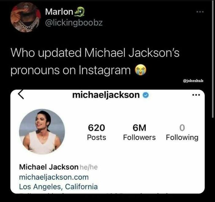 Screenshot of a humorous social media post showing Michael Jackson's Instagram with updated pronouns he/he, a random pic that makes you laugh.