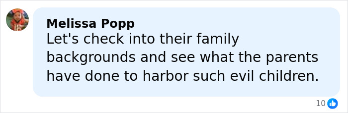 Comment by Melissa Popp discussing family backgrounds and parental influence related to teen boys' actions in a social media post.