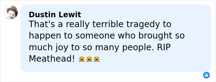 Comment by Dustin Lewit expressing sorrow over a tragic event involving Rob Reiner and wife found slain.
