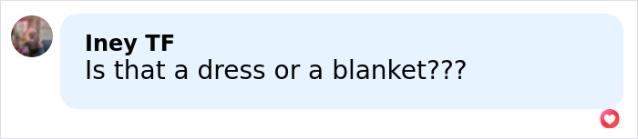 Screenshot of a comment reading Is that a dress or a blanket with a blurred profile picture in a light blue chat bubble.