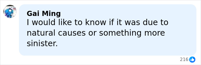 Horrifying Update After Bodies Of Nearly 800 Babies Found In Septic Tank Horrifying Update After Bodies Of Nearly 800 Babies Found In Septic Tank