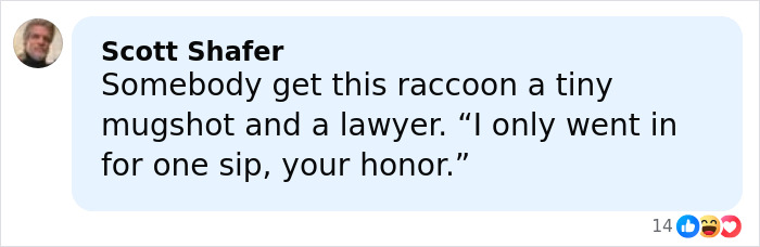 Comment by Scott Shafer joking about a raccoon raid at a liquor store and the animal needing a lawyer for one sip incident.