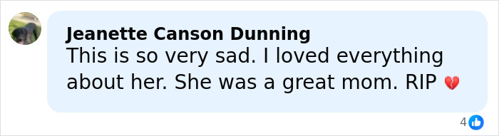 Social media comment expressing sadness and tribute to Netflix star and mom of three announcing her passing.