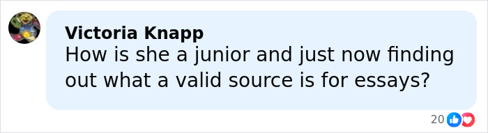Comment by Victoria Knapp questioning a student's understanding of valid sources for essays, related to trans instructor controversy.