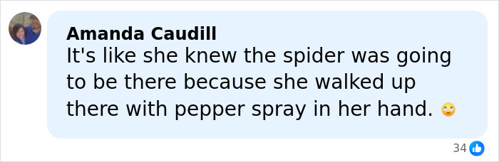 Comment from Amanda Caudill discussing someone carrying pepper spray during a spider encounter related to DoorDasher arrest. Comment from Amanda Caudill discussing someone carrying pepper spray during a spider encounter related to DoorDasher arrest.