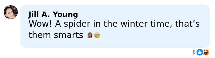 Screenshot of social media comment reacting to bizarre DoorDasher pepper-spraying food incident with shocked emojis. Screenshot of social media comment reacting to bizarre DoorDasher pepper-spraying food incident with shocked emojis.