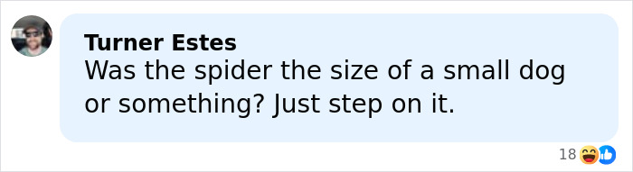 Text message conversation featuring a funny comment about stepping on a large spider, illustrating bizarre excuses. Text message conversation featuring a funny comment about stepping on a large spider, illustrating bizarre excuses.