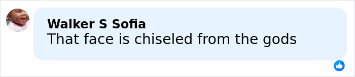 Comment praising a face, stating it looks chiseled from the gods, posted by Walker S Sofia on social media.