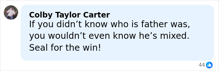 Social media comment discussing Heidi Klum and her son, sparking outrage over model material debate.