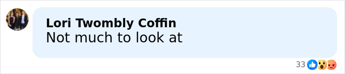 User comment saying Not much to look at criticizing Heidi Klum and son&rsquo;s Elle cover amid model material debate.