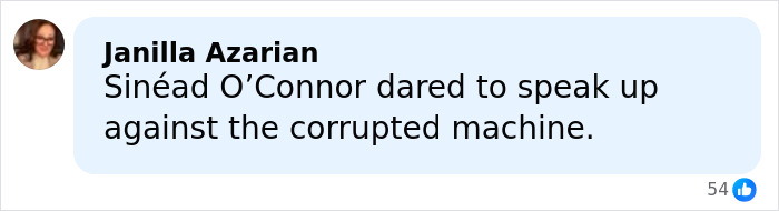 Woman named Janilla Azarian commenting about speaking up against corruption in an online post relating to Vatican Girl cold case.