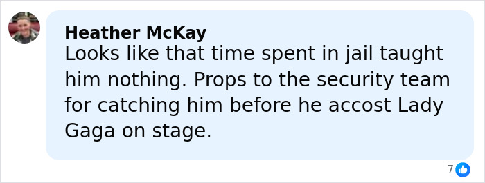 Comment mentioning a man jailed for attacking Ariana Grande and causing trouble at Lady Gaga&rsquo;s concert, praising security team.