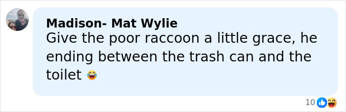 Comment about a raccoon caught in a humorous situation between a trash can and a toilet after raiding a liquor store.