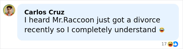 Comment on a social media post reacting humorously to a raccoon raiding a liquor store and ending up passed out in the bathroom.