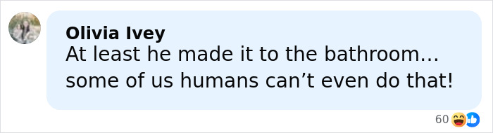 Comment by Olivia Ivey humorously reacting to raccoon raids liquor store and ends up passed out in the bathroom incident.